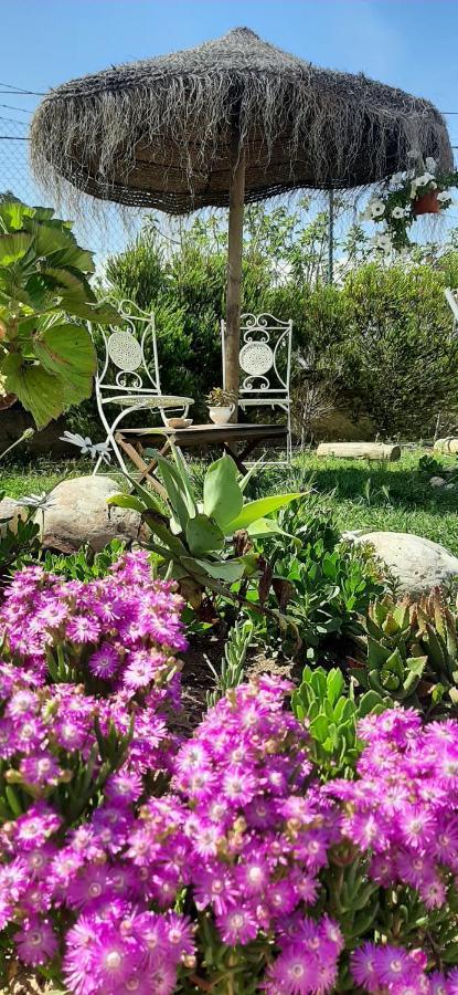 Blacksheep Sagres Guesthouse & Surf エクステリア 写真