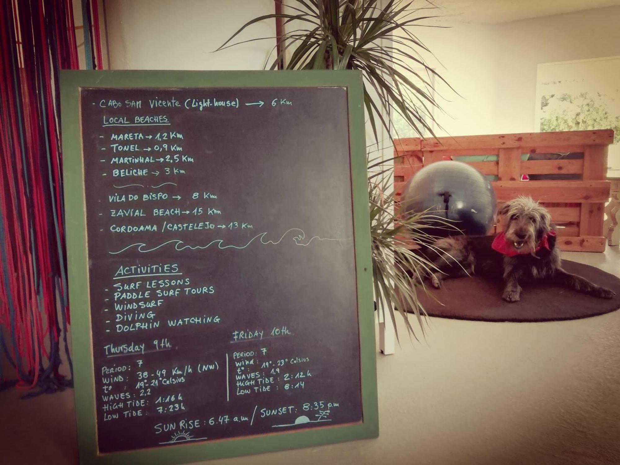 Blacksheep Sagres Guesthouse & Surf エクステリア 写真